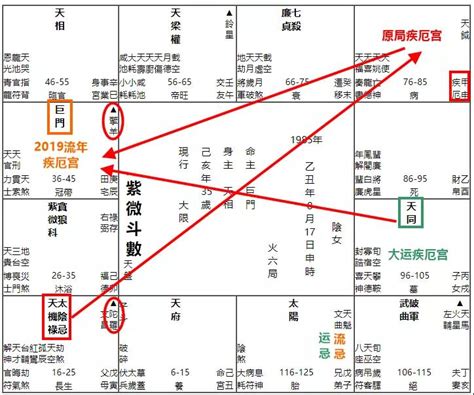 疾 厄 宮,氣質|紫微斗數【紫微星入疾厄宮】解析